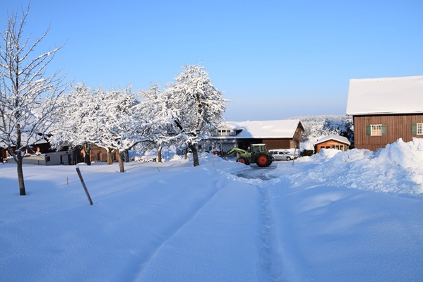 Andreashof - Urlaub auf dem Bauernhof