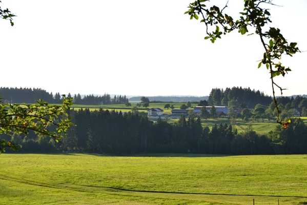 Andreashof - Urlaub auf dem Bauernhof