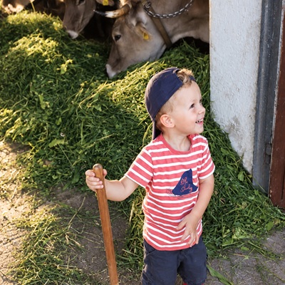 Andreashof - Urlaub auf dem Bauernhof